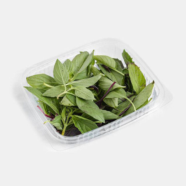 سبزی خوردن